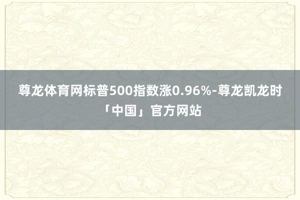 尊龙体育网标普500指数涨0.96%-尊龙凯龙时「中国」官方网站