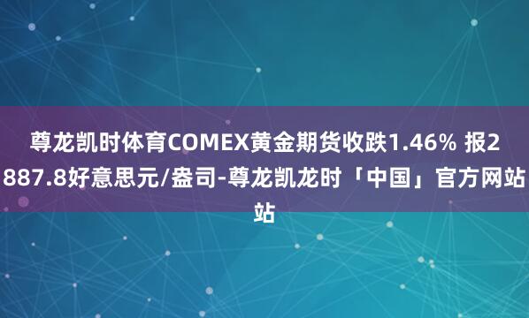 尊龙凯时体育COMEX黄金期货收跌1.46% 报2887.8好意思元/盎司-尊龙凯龙时「中国」官方网站