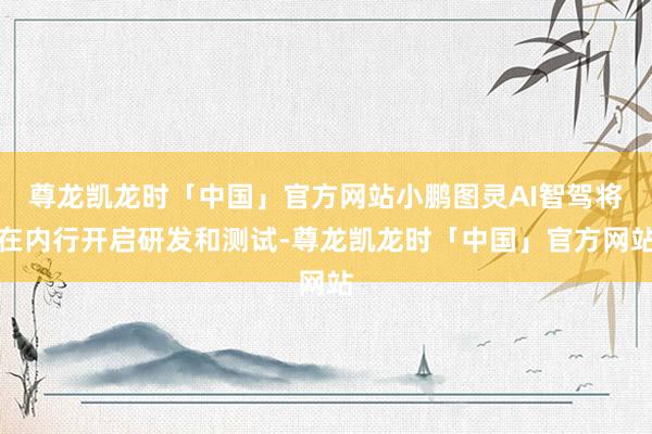 尊龙凯龙时「中国」官方网站小鹏图灵AI智驾将在内行开启研发和测试-尊龙凯龙时「中国」官方网站