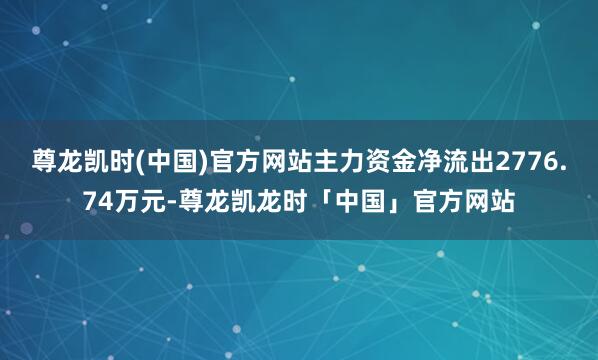 尊龙凯时(中国)官方网站主力资金净流出2776.74万元-尊龙凯龙时「中国」官方网站