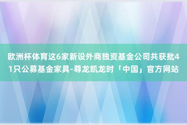 欧洲杯体育这6家新设外商独资基金公司共获批41只公募基金家具-尊龙凯龙时「中国」官方网站