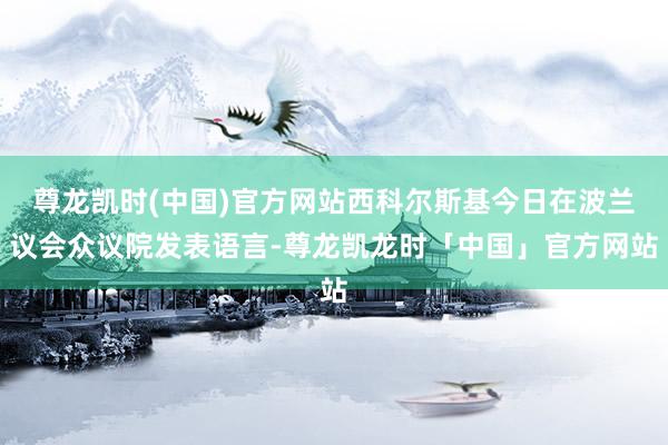 尊龙凯时(中国)官方网站西科尔斯基今日在波兰议会众议院发表语言-尊龙凯龙时「中国」官方网站