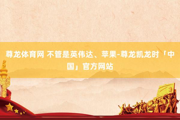尊龙体育网 不管是英伟达、苹果-尊龙凯龙时「中国」官方网站