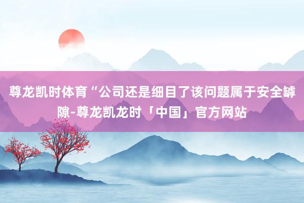 尊龙凯时体育“公司还是细目了该问题属于安全罅隙-尊龙凯龙时「中国」官方网站