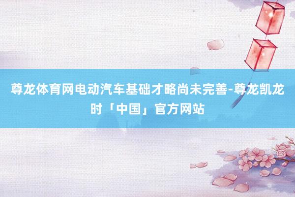 尊龙体育网电动汽车基础才略尚未完善-尊龙凯龙时「中国」官方网站