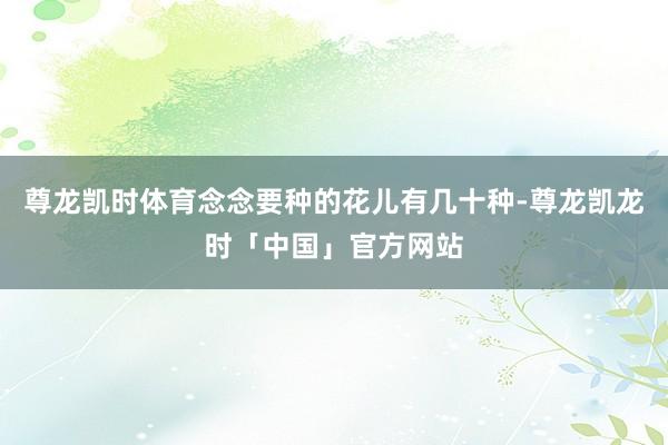 尊龙凯时体育念念要种的花儿有几十种-尊龙凯龙时「中国」官方网站