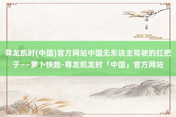 尊龙凯时(中国)官方网站中国无东谈主驾驶的扛把子——萝卜快跑-尊龙凯龙时「中国」官方网站