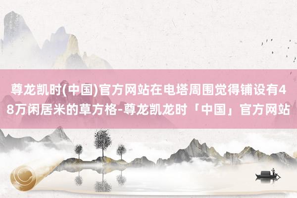 尊龙凯时(中国)官方网站在电塔周围觉得铺设有48万闲居米的草方格-尊龙凯龙时「中国」官方网站