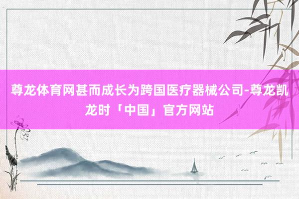 尊龙体育网甚而成长为跨国医疗器械公司-尊龙凯龙时「中国」官方网站