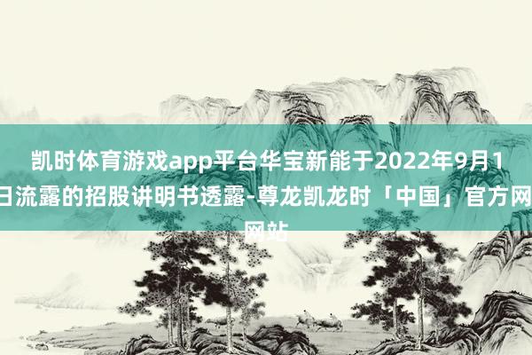 凯时体育游戏app平台华宝新能于2022年9月13日流露的招股讲明书透露-尊龙凯龙时「中国」官方网站