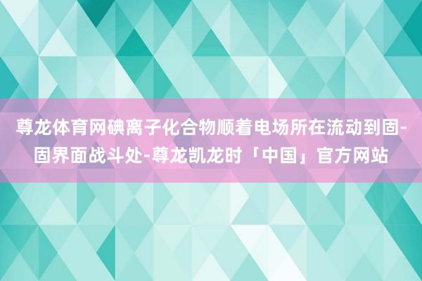 尊龙体育网碘离子化合物顺着电场所在流动到固-固界面战斗处-尊龙凯龙时「中国」官方网站
