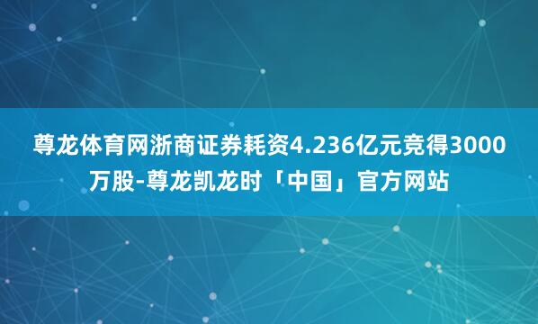 尊龙体育网浙商证券耗资4.236亿元竞得3000万股-尊龙凯龙时「中国」官方网站