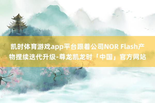 凯时体育游戏app平台跟着公司NOR Flash产物捏续迭代升级-尊龙凯龙时「中国」官方网站