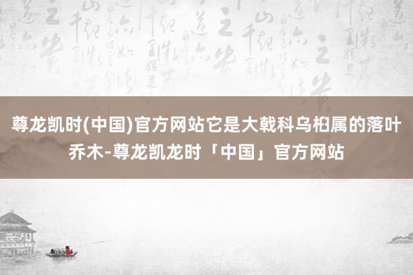 尊龙凯时(中国)官方网站它是大戟科乌桕属的落叶乔木-尊龙凯龙时「中国」官方网站