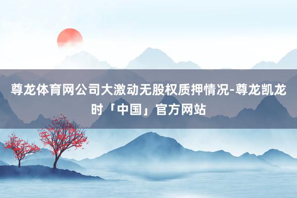 尊龙体育网公司大激动无股权质押情况-尊龙凯龙时「中国」官方网站