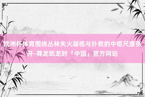 欧洲杯体育围绕丛林失火凝视与扑救的中枢尺度张开-尊龙凯龙时「中国」官方网站